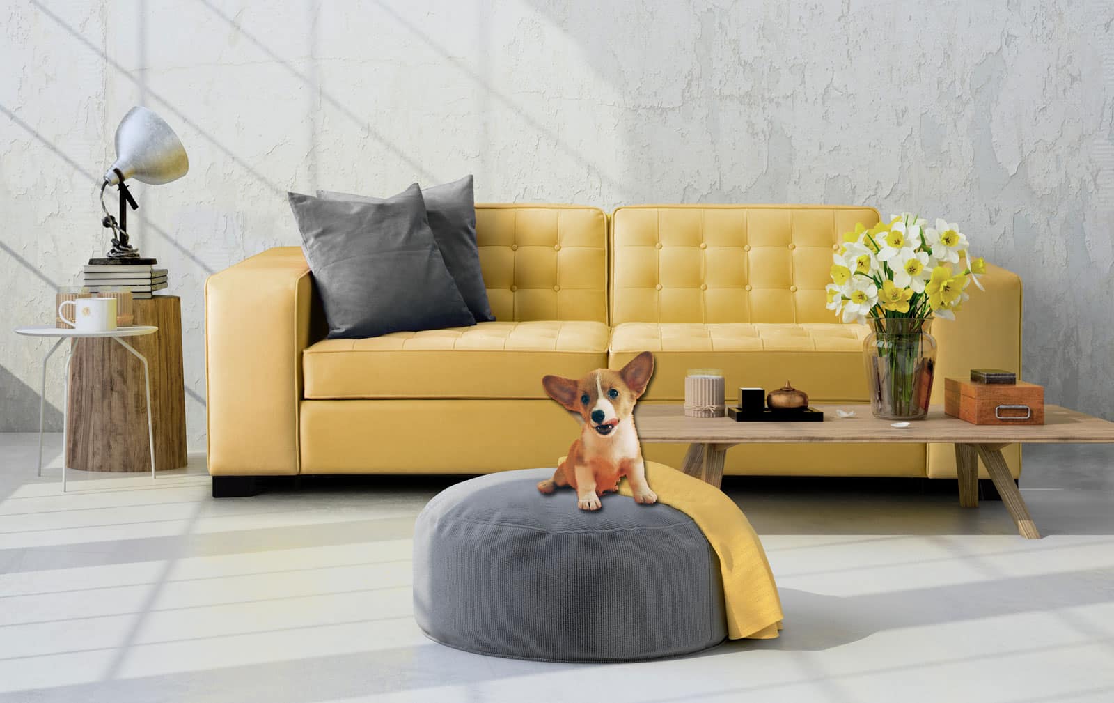 Best Pet Friendly Fabrics for Sofa Beds